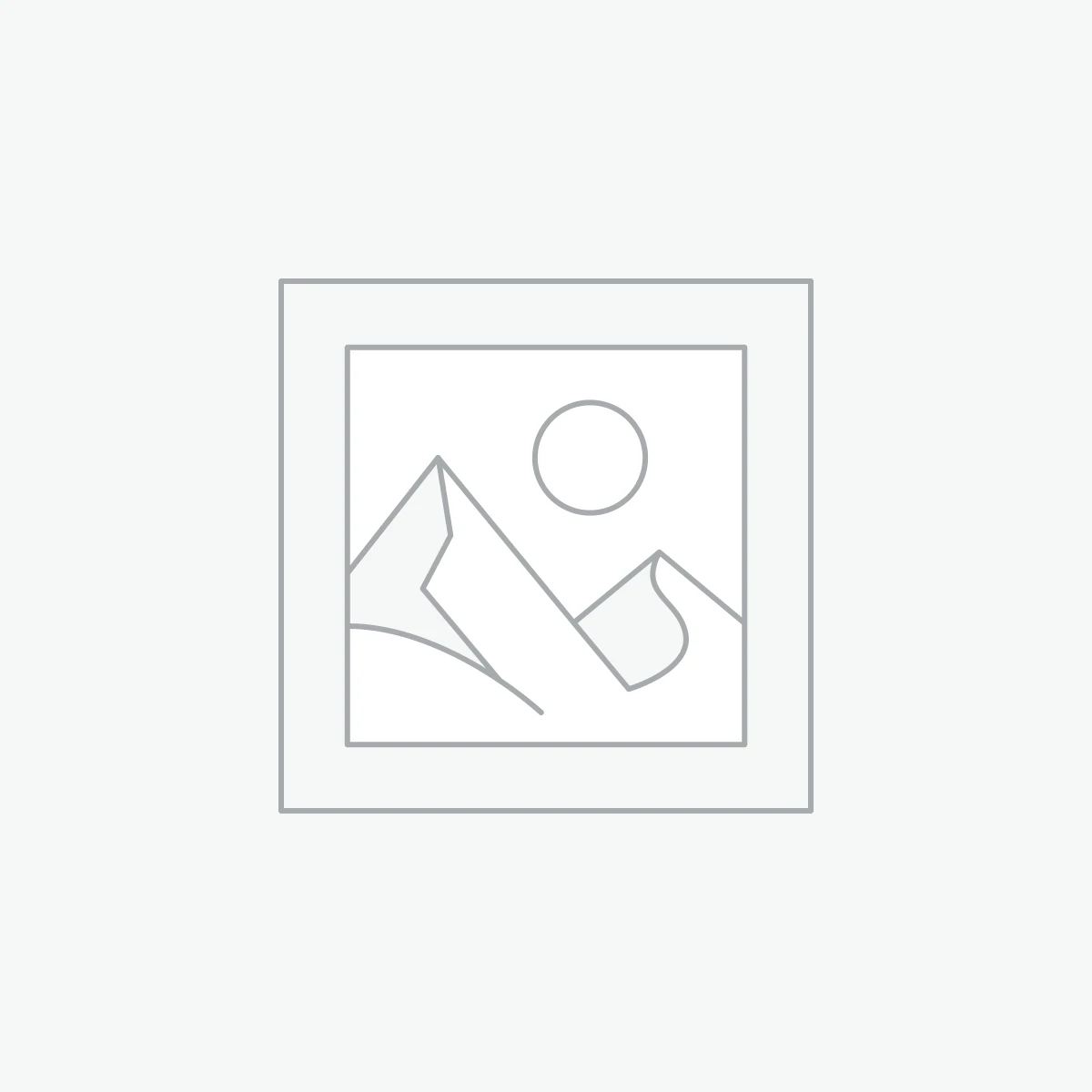 Google Ads Services